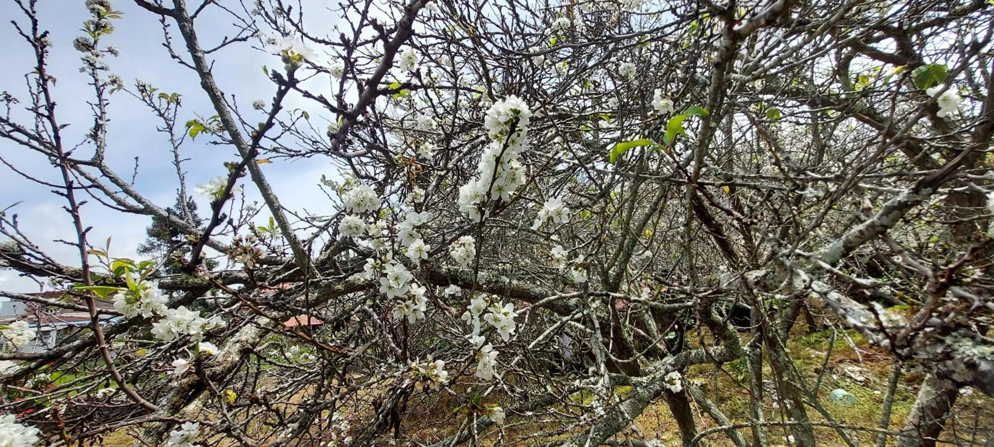 Amman Resorts Kodaikanal Eksteriør billede