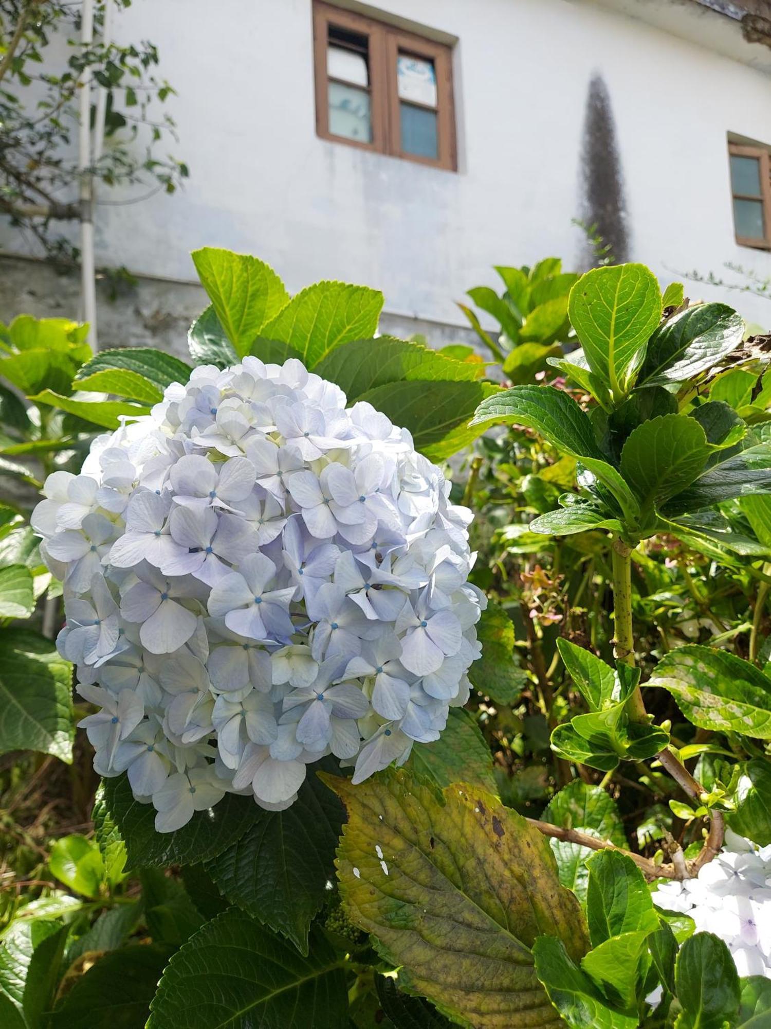Amman Resorts Kodaikanal Eksteriør billede